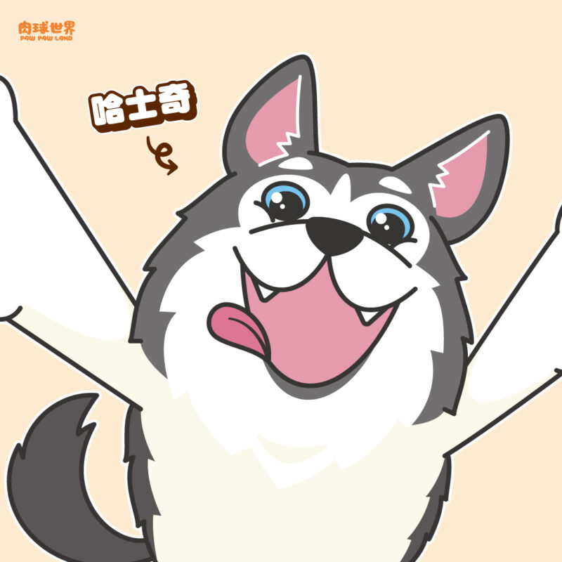 (3). 哈士奇