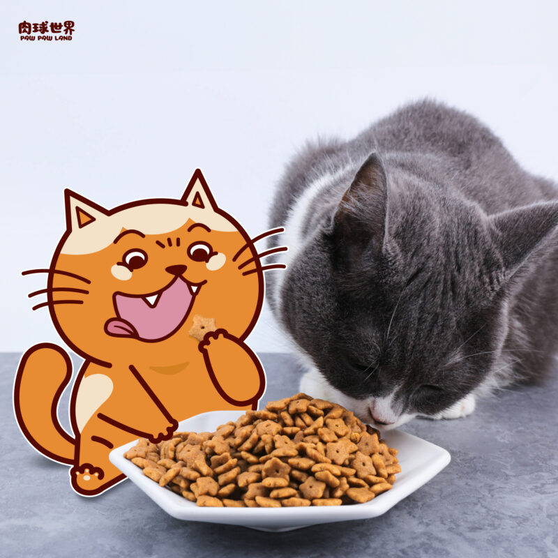 貓凍乾是什麼?寵物凍乾如何挑選?2款貓凍乾推薦飼料!