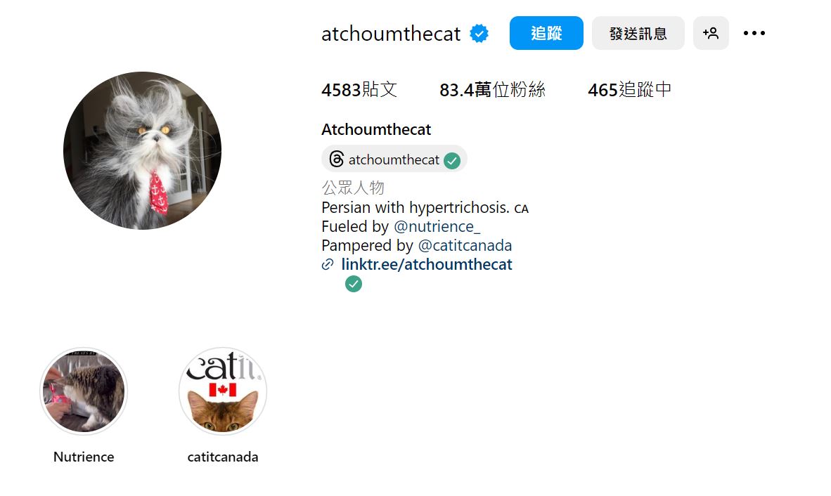 ★ IG(Instagram):atchoumthecat