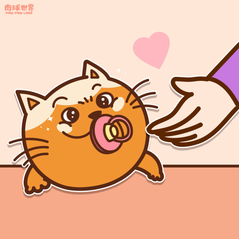 幼貓照顧SOS!幼貓怎麼養大?小貓照顧大方向注意事項
